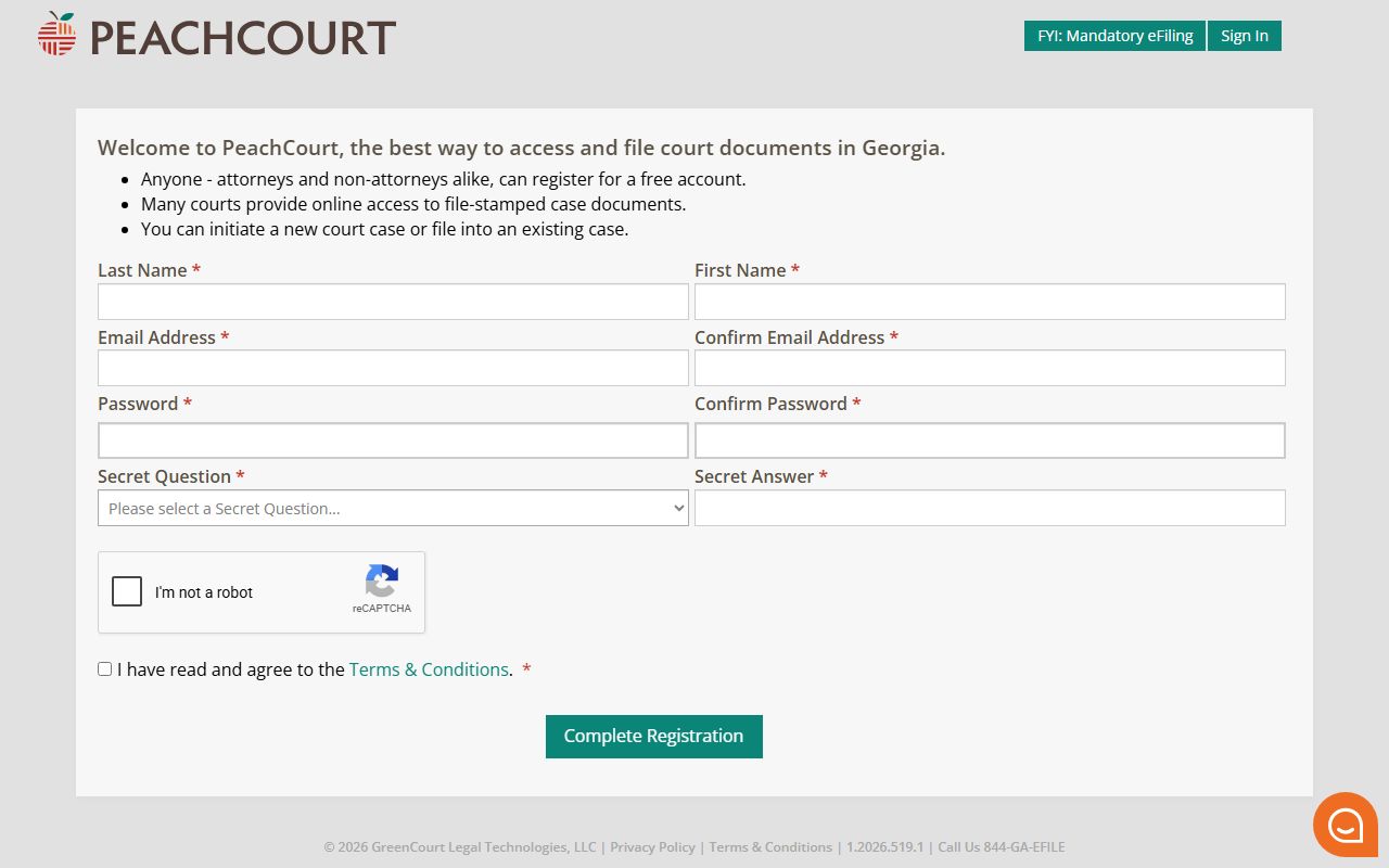 Lanier County court records after arrest PeachCourt registration access